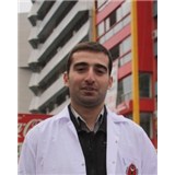 Özgür Yalçınn