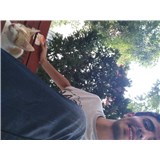 halil babacan