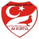 Evcilhayatlar